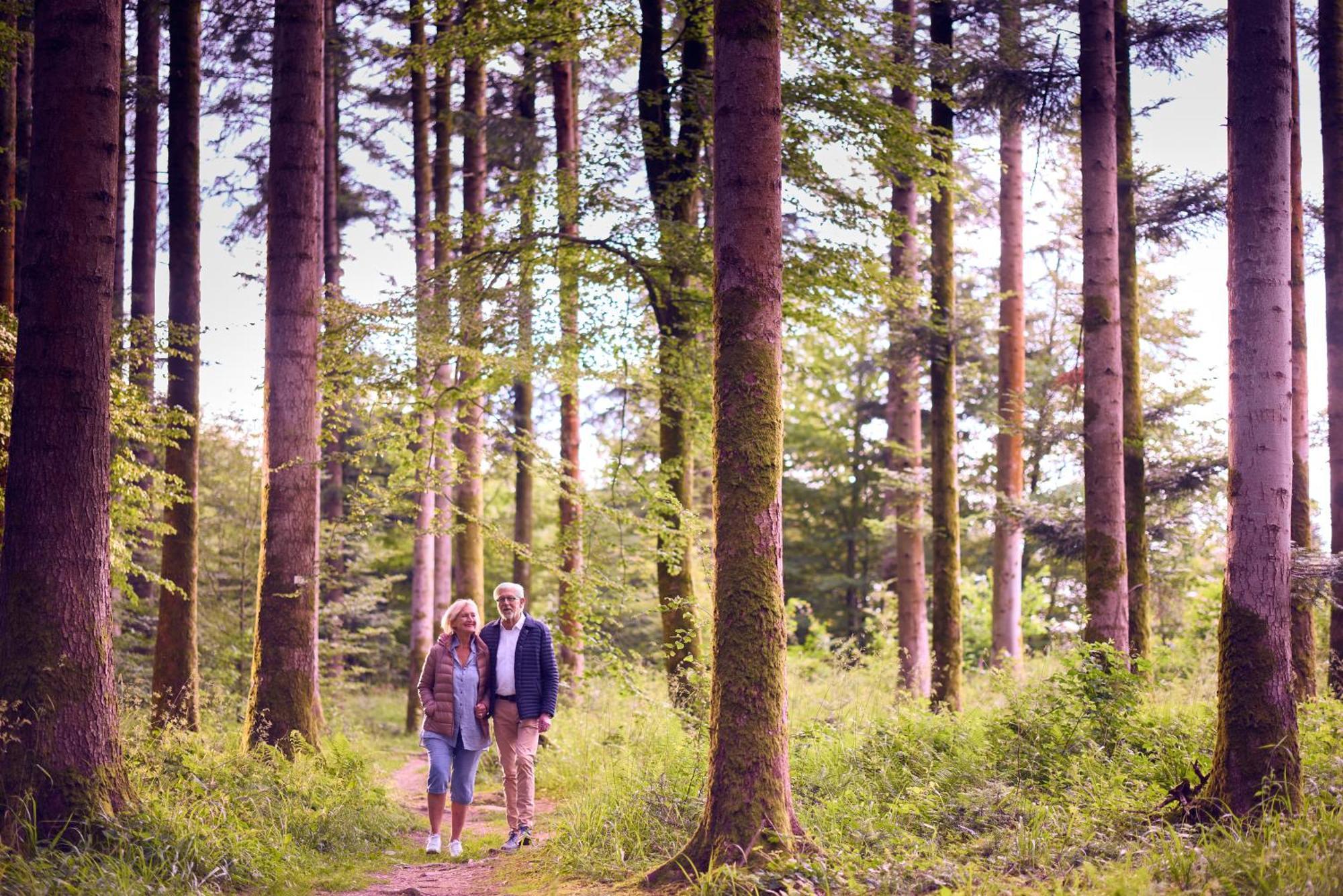 Center Parcs Les Trois Forets Hattigny Zewnętrze zdjęcie
